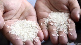 Telanjur Makan Beras Plastik? Berikut Cara Kurangi Bahayanya