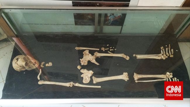 Sejarah Berubah, Fosil Manusia Tertua Ditemukan di Maroko Tim antropolog baru-baru ini menemukan fakta baru mengenai asal muasal manusia, terhadap 22 fosil Homo Sapiens di Maroko yang usianya lebih dari 300 ribu tahun.