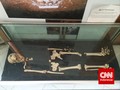 Arkeolog Temukan Spesies Baru Manusia Purba di Filipina