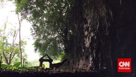 Rencana Pemerintah Bangun Hotel di Hutan Bowosie NTT Dikritik