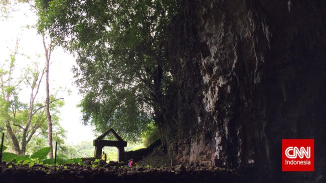 Rencana Pemerintah Bangun Hotel di Hutan Bowosie NTT Dikritik Pemerintah akan membangun fasilitas pariwisata berupa resort hingga hotel mewah di wilayah Hutan Bowosie, Kabupaten Manggarai Barat, NTT.
