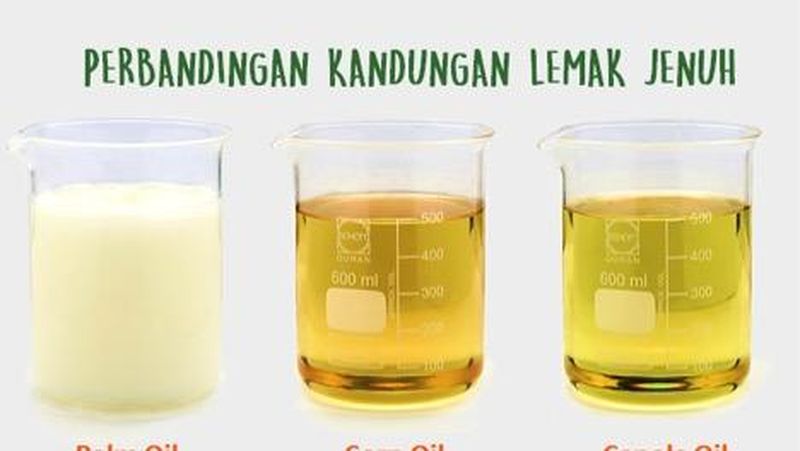 Tahukah Anda bahwa minyak yang digunakan untuk memasak makanan sehari-hari sangat berpengaruh terhadap kesehatan tubuh?