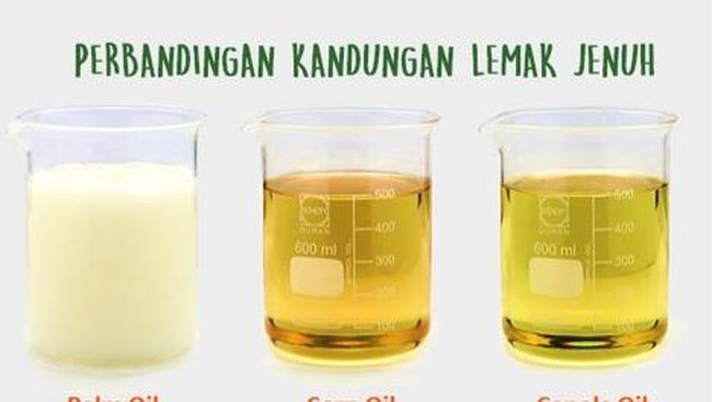 Lemak Jenuh Dan Tak Jenuh – newstempo