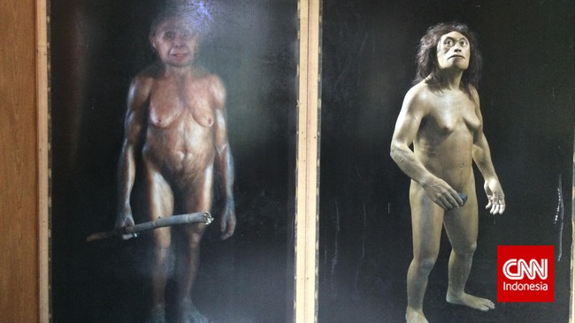 Homo floresiensis atau "the Hobbit" adalah hominin kuno yang hidup setidaknya 17.000 tahun yang lalu.