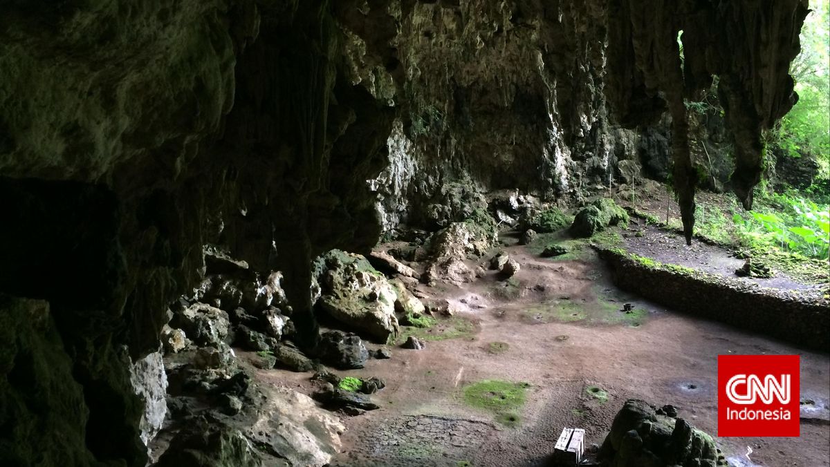 Terungkap, Manusia Hobbit Flores Ternyata Pemakan Bangkai