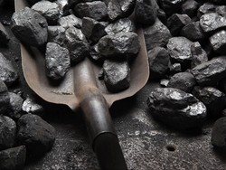 Benarkah Asal Usul Bahan Bakar Fosil dari Tulang Belulang Hewan Purba?