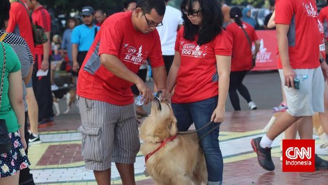 Sayangnya pada sebagian masyarakat Indonesia ada yang lebih suka membuang hewan peliharaan saat sudah tua.