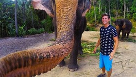 Gajah Rebut Kamera Manusia dan Buat Foto 'Elphie' Mengejutkan