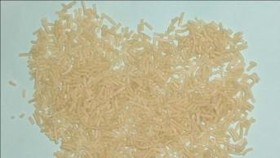 Beras Analog, Beras Sintetis Buatan BPPT Anti Bahan Plastik