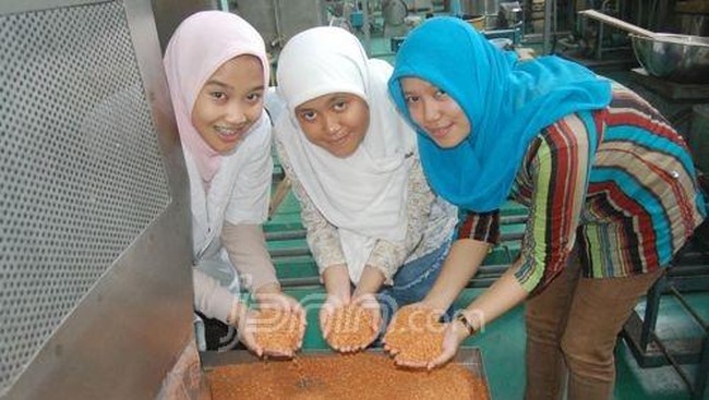 Badan Pengkajian dan Penerapan Teknologi (BPPT) memastikan beras analog yang terbuat dari jagung, ubi kayu, dan sagu sangat aman di konsumsi.