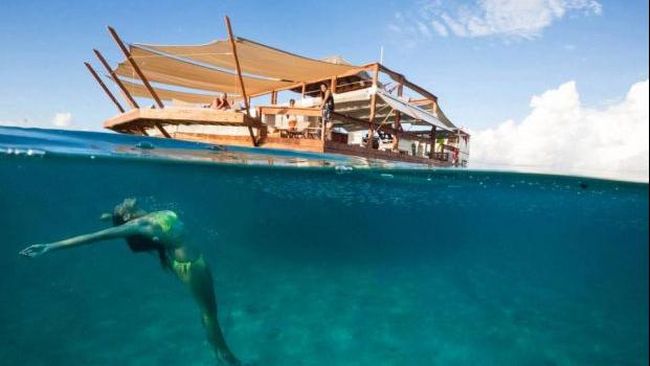 Apa yang lebih menyenangkan daripada berenang santai di tengah laut yang jernih kehijauan di bawah pancaran sinar matahari? Makan pizza tentunya.