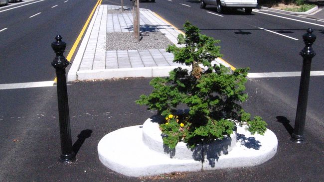 Mill Ends Park di Portland, Oregon, saat ini memegang rekor sebagai taman terkecil di dunia.