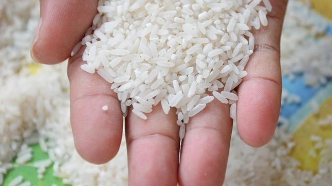 Beras yang biasa dibeli dalam jumlah besar seperti skala karung atau kilogram, tentu mengundang datangnya kutu. Bagaimana cara mengatasinya?