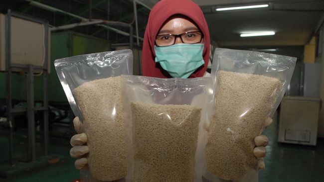 Sebenarnya masyarakat Indonesia tak perlu terus menerus mengandalkan beras dari padi. Karena beras analog juga semakin mirip dengan beras original.