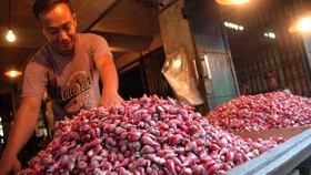 Tak Ingin Kebanjiran Bawang Impor, Mendag Hitung Stok Lokal