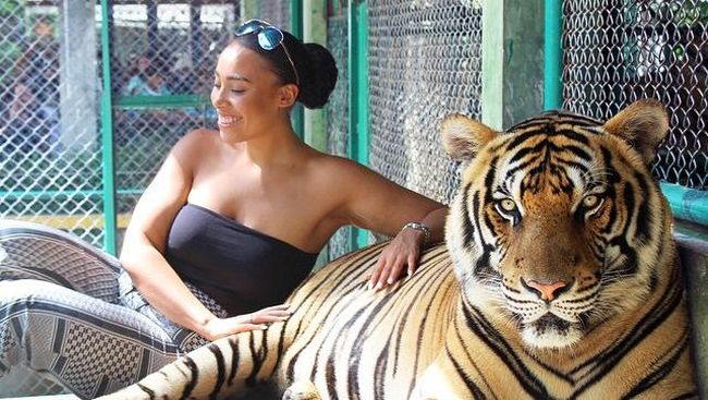 Laila Swann seorang blogger yang banyak menulis gaya hidup dari kota London, Inggris, terpilih sebagai peneliti oleh sebuah situs perjodohan kondang Match.com.