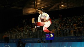Foto Olahraga Pilihan dari SEA Games 2015