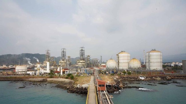 Pengelolaan kawasan industri oleh pemerintah Indonesia, jauh lebih kecil dibandingkan yang dikelola pemerintah Taiwan, Singapura, Jepang, dan Malaysia.