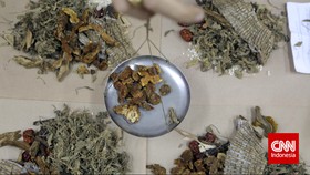 Masyarakat Diminta Hati-hati Manfaatkan Obat Herbal