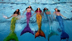 Belajar Jadi Putri Duyung di Sekolah 'World of Swimming'