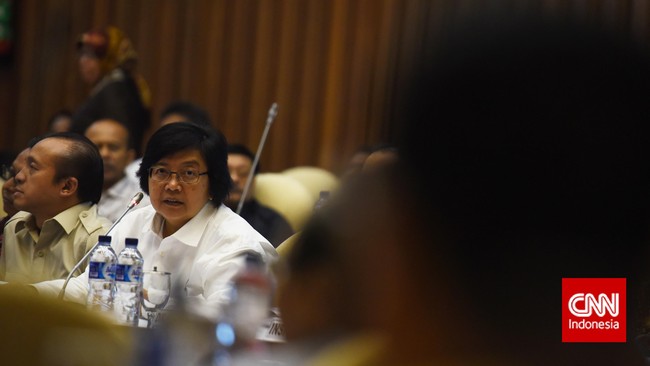 Menurut Siti Nurbaya Bakar, skala pekerjaan kereta tersebut terlalu kecil untuk bisa disebut sebagai proyek nasional.