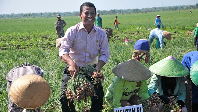 Mentan Andi Amran memastikan harga beras akan turun jelang bulan Ramadan dan Idulftri.