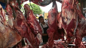 Politisi Swedia: Daging Halal Bisa Mengubahmu Menjadi Muslim