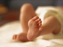 Tangisan Bayi di Bawah Pohon Jengkol Gegerkan Warga Ciamis