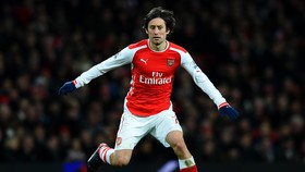 Tomas Rosicky Kecewa dan Frustasi Berada di Arsenal