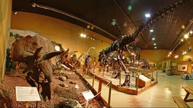Kata Ahli Soal Hidupkan Kembali Dinosaurus Lewat DNA