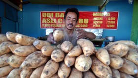Mengenal Si Madu dari Sumedang