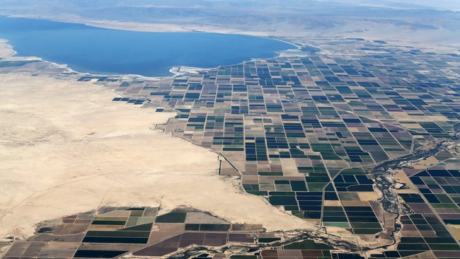 Musim kemarau di negara bagian California menyebabkan pertikaian antara petani anggur terkait rencana pengelolaan penggunaan air tanah di wilayah Paso Robles.