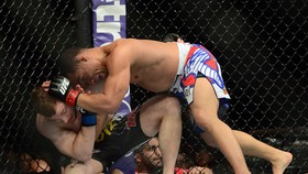 Belum Ada Petarung Tewas, Apakah UFC Aman?