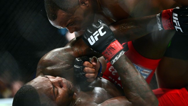 Laga final The Ultimate Fighter musim pertama adalah laga yang membuat penonton Amerika Serikat jatuh cinta kepada mixed martial arts.