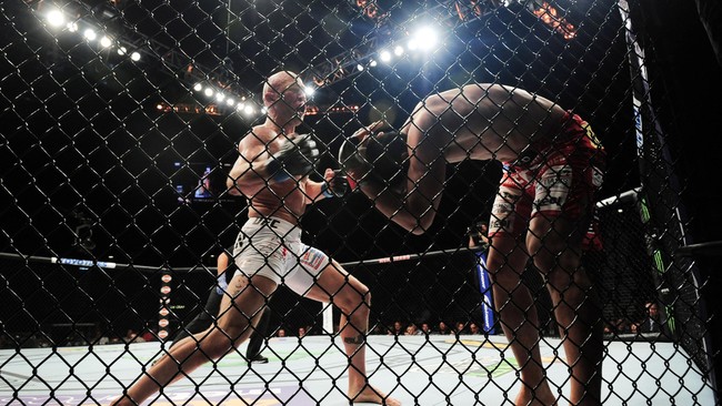 Sebagai bisnis, UFC memiliki pendapatan ratusan juta dolar. Namun, tak ada yang tahu berapa sebenarnya pemasukan seorang petarung UFC.