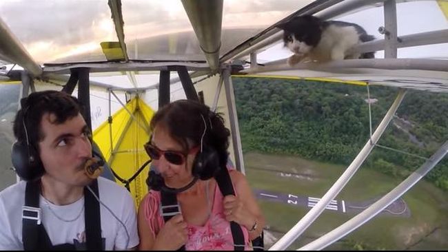 Pilot bernama Romain Jantot dengan sigap menginstruksikan pendaratan mendadak ketika tengah terbang di langit daerah wisata Koutou, Guyana, Perancis.