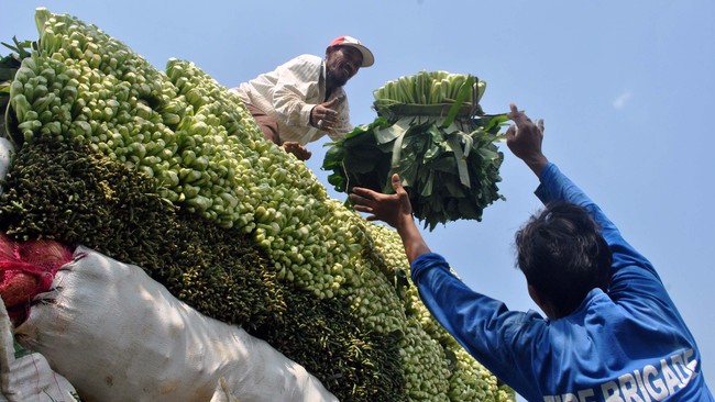 Petani menaikkan hasil panen sayur sawi ke atas mobil bak terbuka di Desa Situdaun, Tenjolaya, Bogor, Jabar, Senin (22/6). Permintaan sayur sawi mengalami peningkatan dari 5 kwintal menjadi 9 kwintal/hari dengan harga jual naik dari Rp1500 menjadi Rp2000/kg untuk memenuhi pesanan pasar induk selama bulan Ramadan. ANTARA FOTO/Arif Firmansyah/Rei/nz/15.