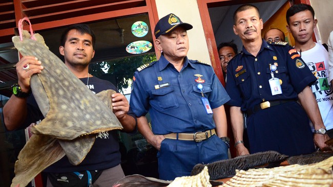 Nilai ekspor ilegal dari 19 kontainer hasil laut yang berhasil digagalkan ditaksir mencapai Rp 9,6 miliar.