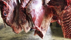 Libya Terancam Wabah Penyakit Akibat Makanan Busuk