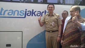 Sopir Kopaja Disertifikasi, Ahok Tak Pentingkan Ijazah