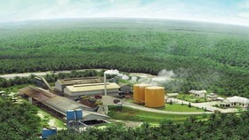 Selain Sawit, Pemerintah akan Replanting Komoditas Karet