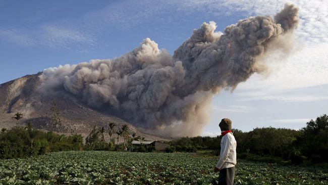 Wisatawan mancanegara terpaksa menunda kegiatannya di Taman Nasional Gunung Leuser karena hembusan abu vulkanik dari erupsi Gunung Sinabung.