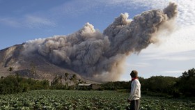Abu Gunung Sinabung Tunda Aktivitas Turis di TN Leuser
