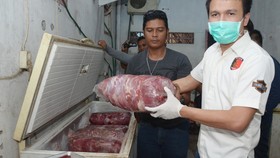 Pemda Sumsel Operasi Patuh 8 Ton Jeroan Babi Hutan