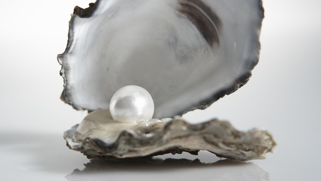 Kementerian Kelautan dan Perikanan Asosiasi Budidaya Mutiara Indonesia dan Yayasan Mutiara Laut Indonesia akan menggelar pameran tahunan mutiara.