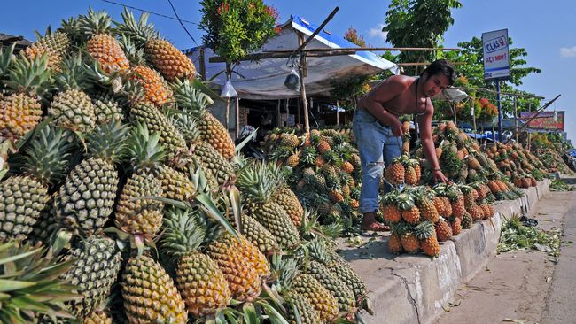 Buah nanas kini tak lagi berwarna kuning. Nanas di Amerika sudah berubah warna menjadi pink. Uniknya, nanas ini pun diberi nama rose.