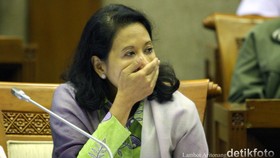 Penolakan PMN Menguat, Jokowi Didesak Ganti Menteri BUMN