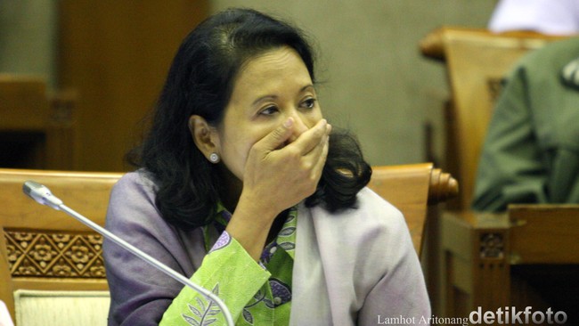Pansus Hak Angket Pelindo II menyatakan pemanggilan Menteri BUMN, Rini Soemarno, belum tepat karena adanya data-data yang harus dikroscek ke pihak lain.