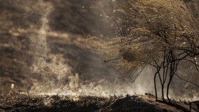 'Sleepy Hollow Fire' Hanguskan 24 Rumah di Washington