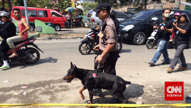 Tiga anjing pelacak berkemampuan khusus diterjunkan ke lokasi jatuhnya pesawat Hercules C-130 TNI AU untuk mengendus sisa amunisi dan potongan tubuh korban.